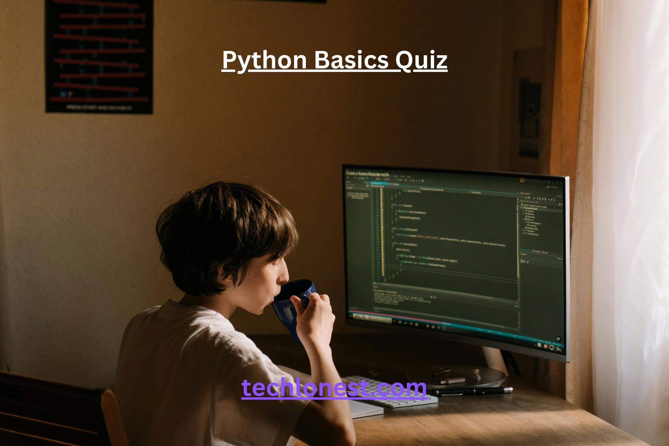 Python Basics Quiz 20-Question