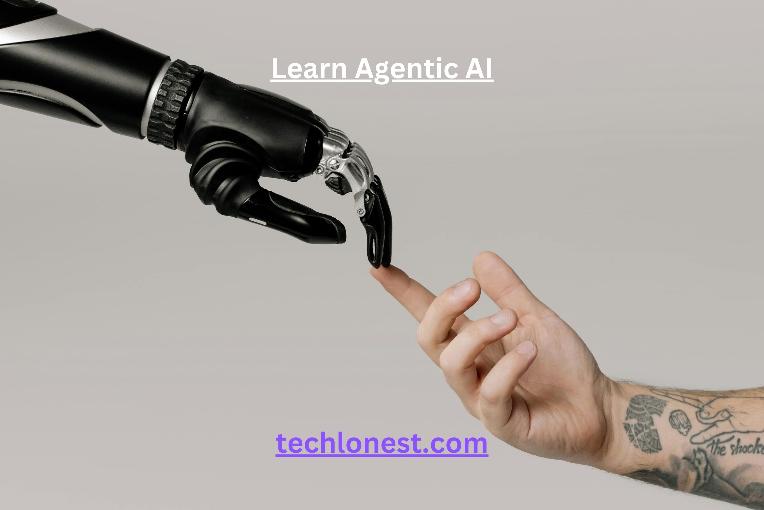Learn Agentic AI: A Comprehensive Guide to the Future of Intelligent Systems